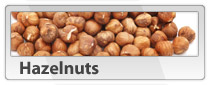 Various Nut Types